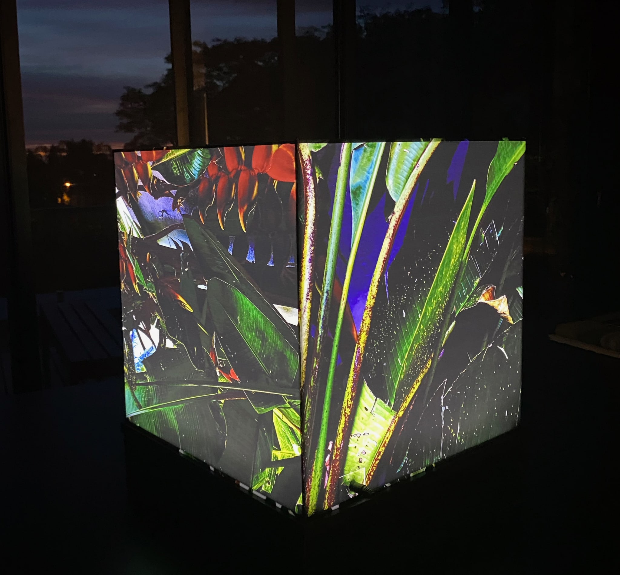 Luzes da Floresta: Cubos de Luz Inaugural by Silvana LaCreta Ravena