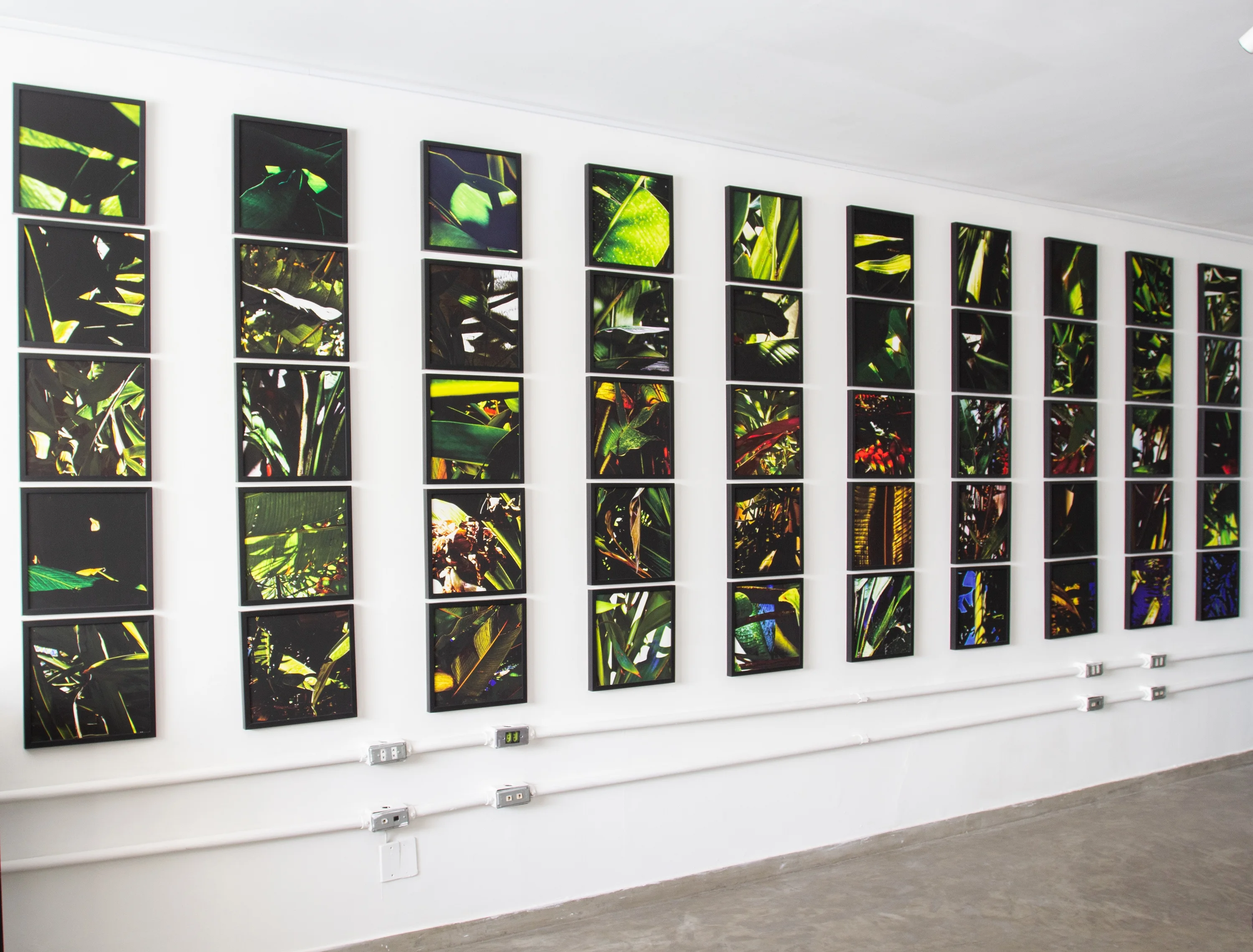 Noites da Floresta - Mural Vitral Wall Installation, view 2