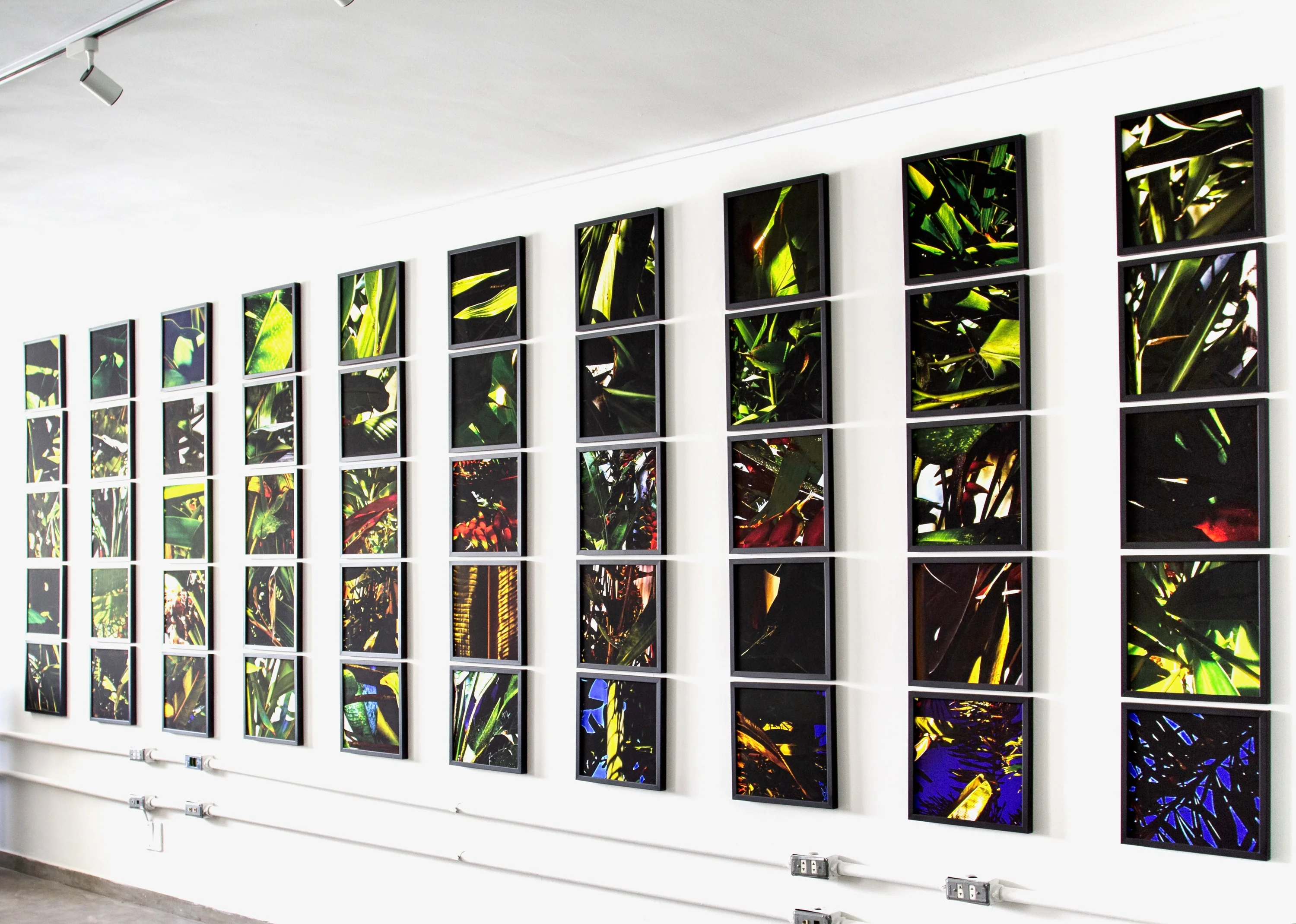 Noites da Floresta - Mural Vitral Wall Installation, view 3
