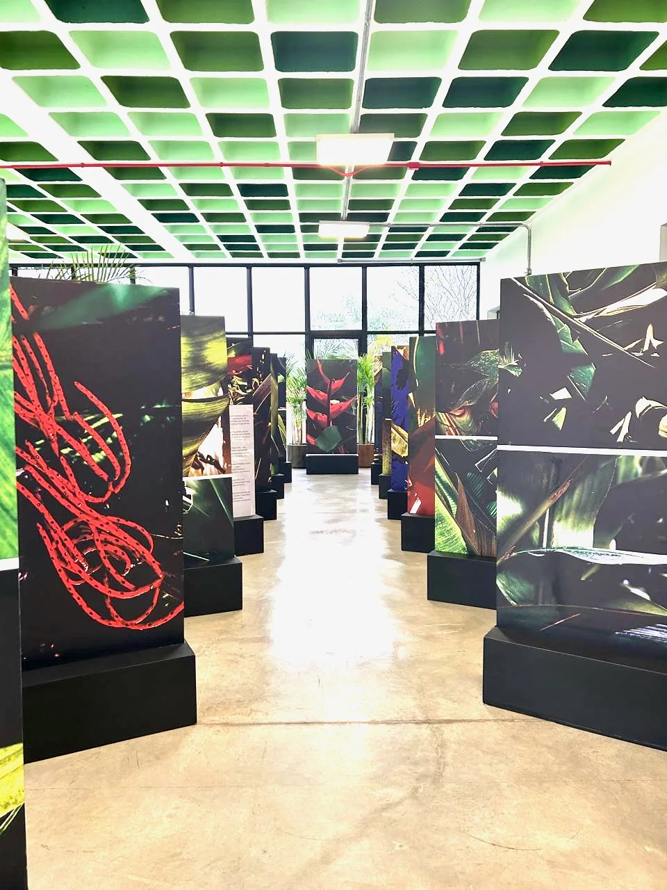 Noites da Floresta - Arte em Meio Ambiente, Individual Ecomuseu de Itaipu