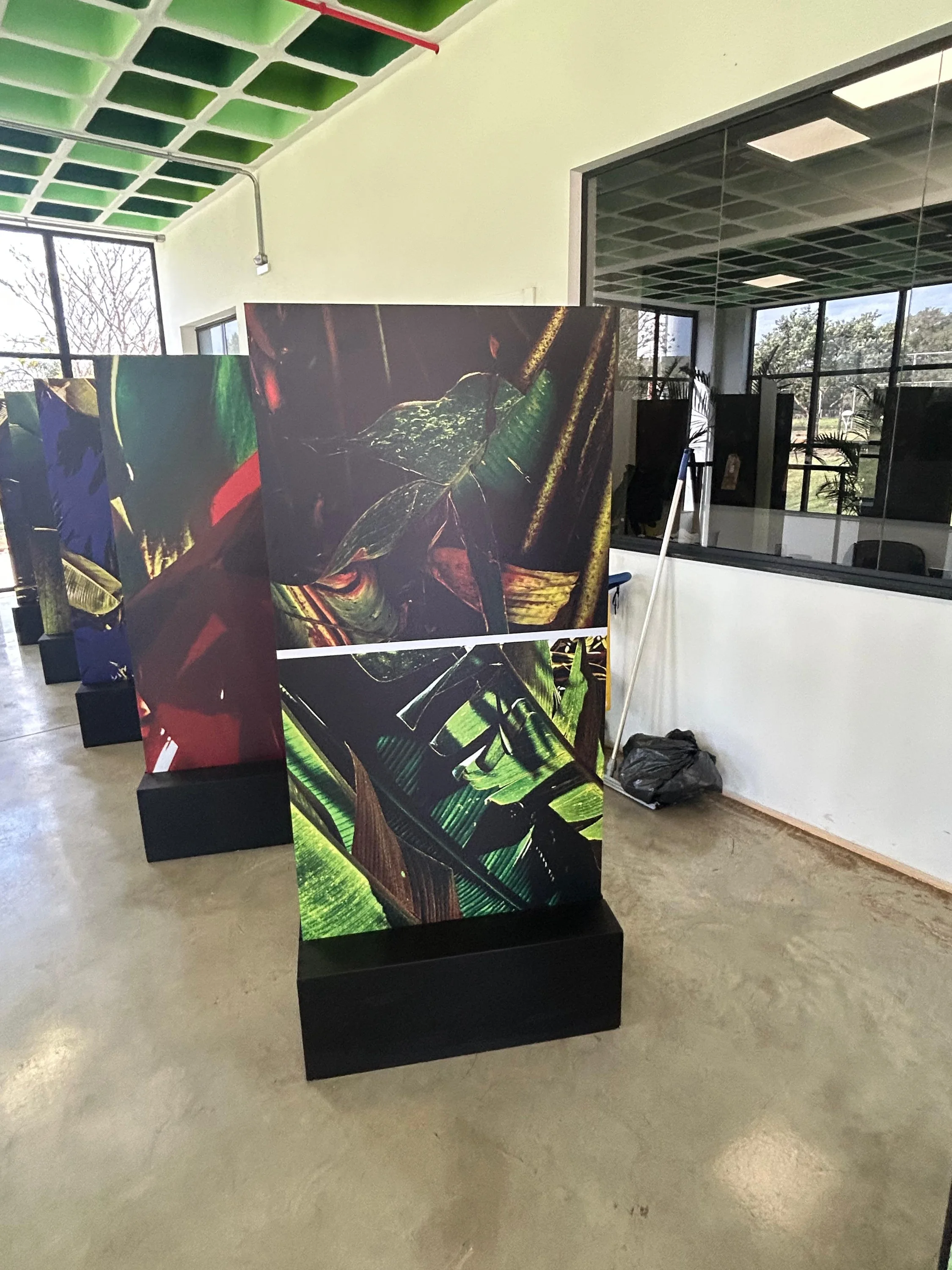Noites da Floresta - Arte em Meio Ambiente, Individual Ecomuseu de Itaipu, view 4