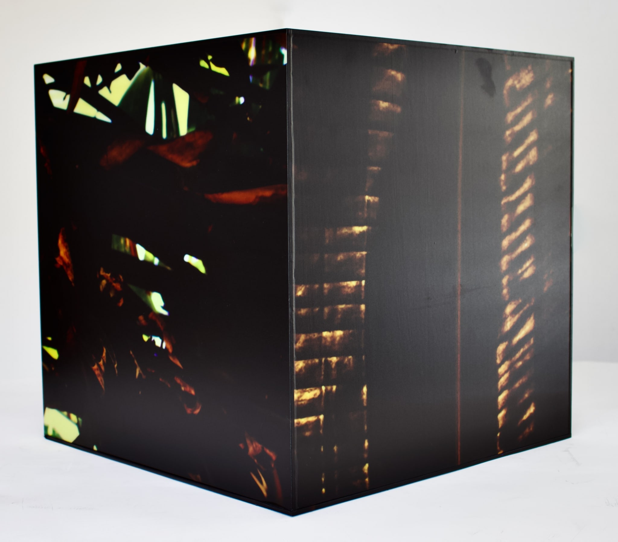 Luzes da Floresta: Cubos de Luz Dourados by Silvana LaCreta Ravena