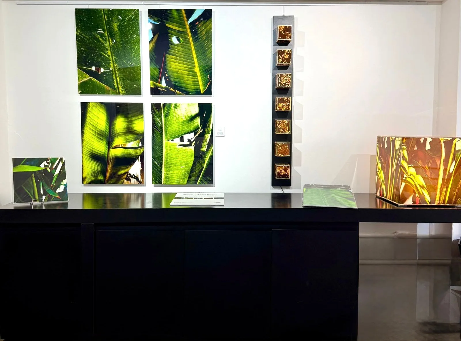 Noites da Floresta - Individual, Galeria VerArte, Sao Paulo, view 4