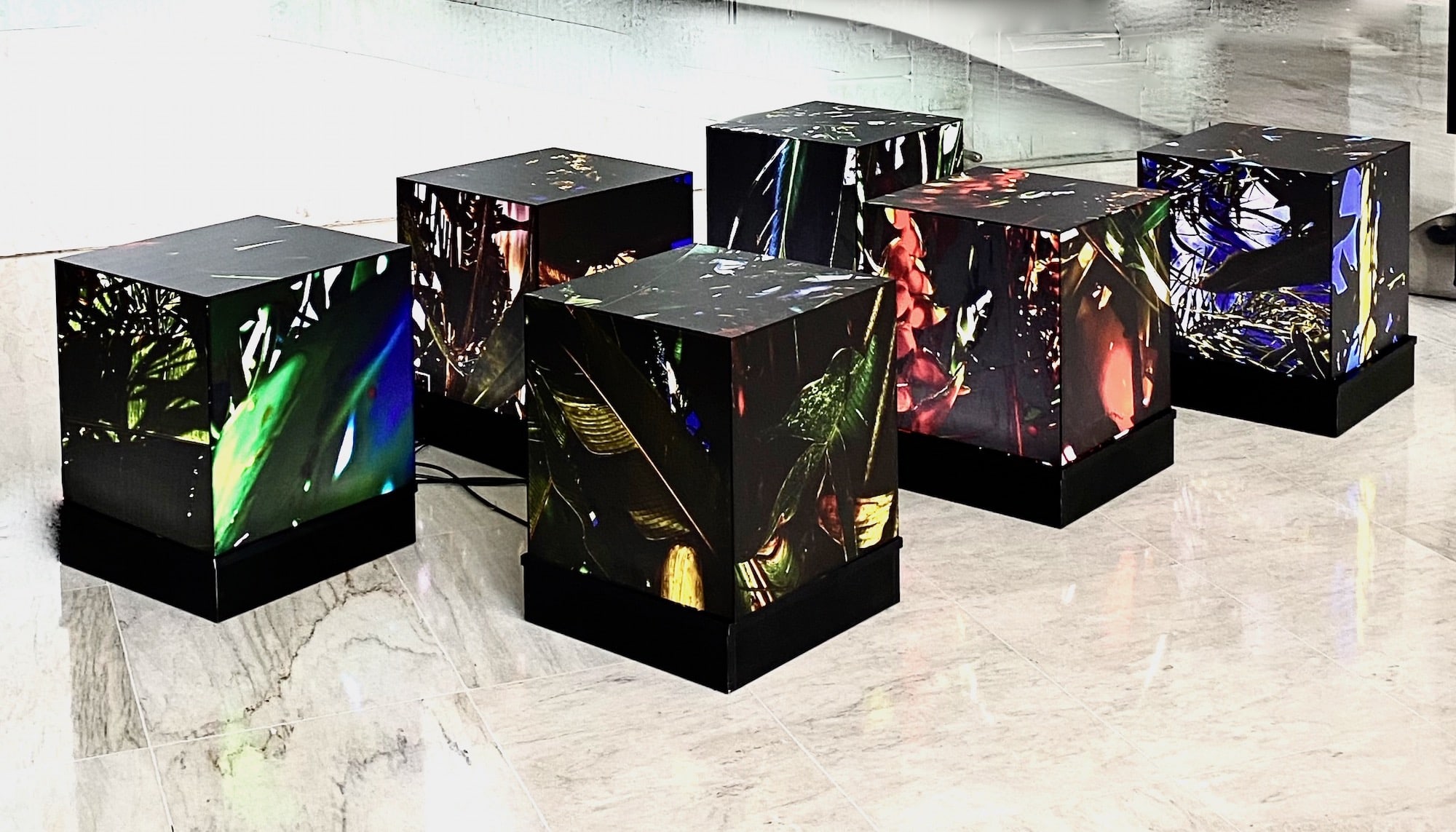 Luzes da Floresta - Installation by Silvana LaCreta Ravena