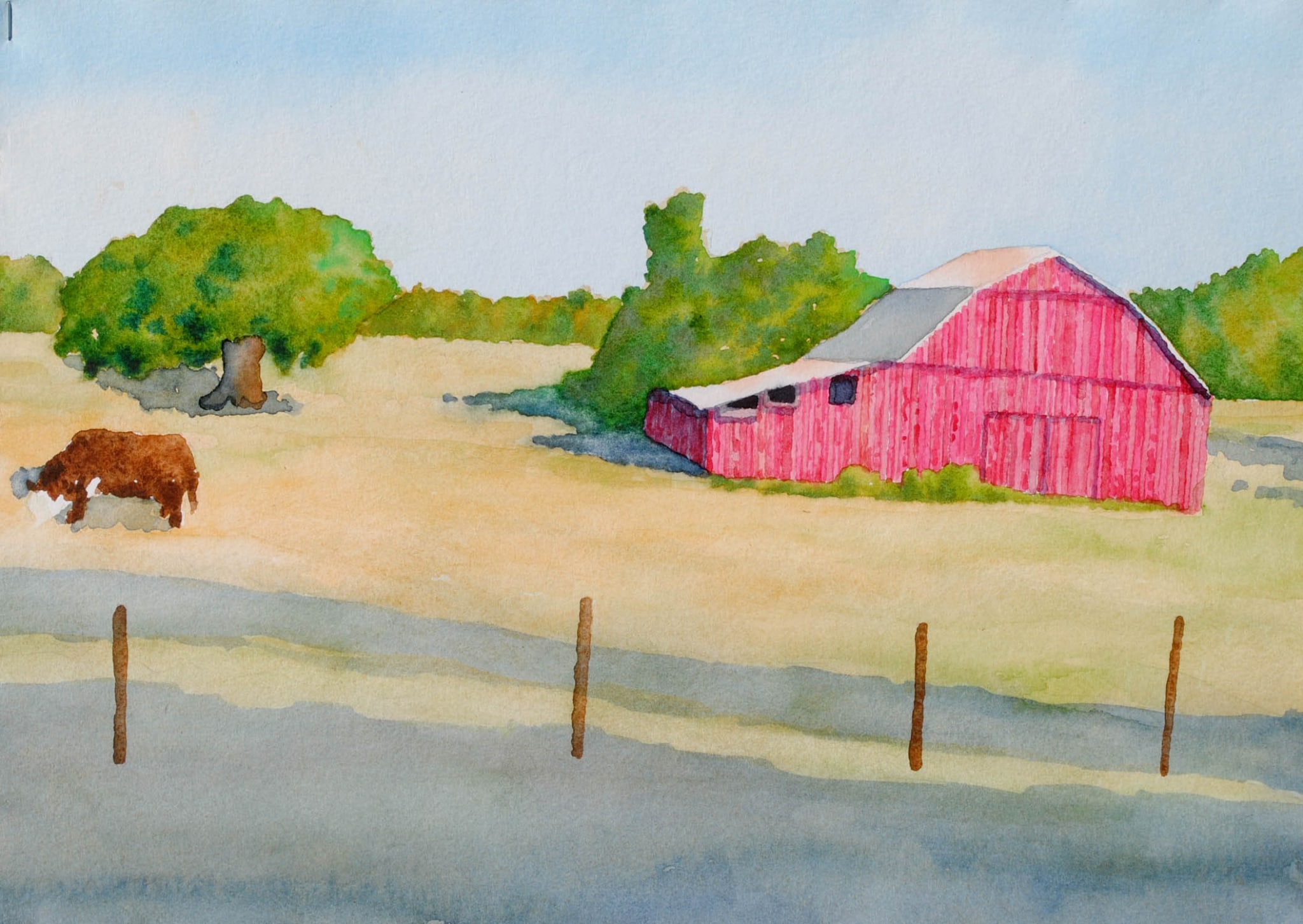 barn & bull by sherman barnes