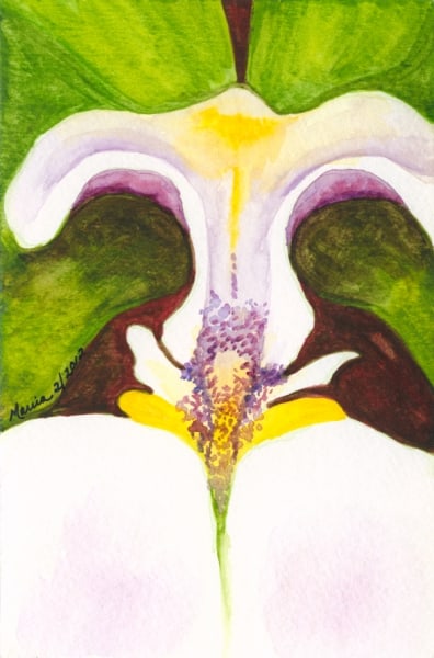 Orchid I by Marcia J Popp