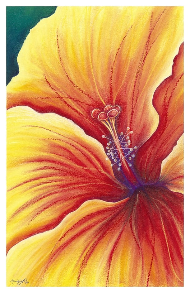 Tango by Marcia J Popp