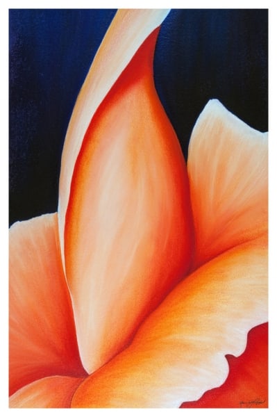 Sword Lily by Marcia J Popp