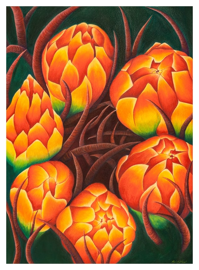 Ring of Fire by Marcia J Popp