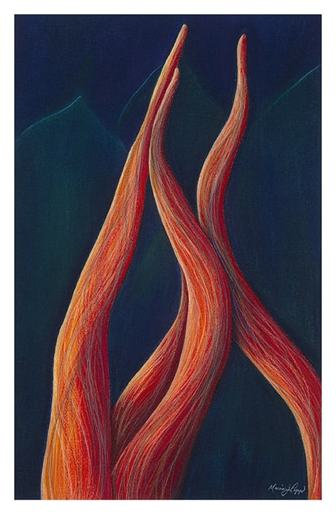 Twisted by Marcia J Popp