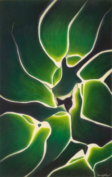Victoria Agave by Marcia J Popp