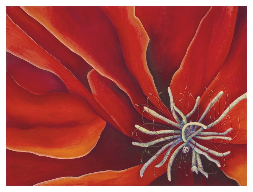 Fiery Extraterrestrial by Marcia J Popp