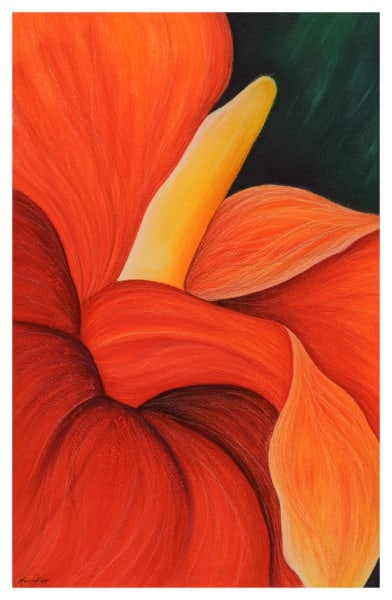 Bromeliad Flower by Marcia J Popp
