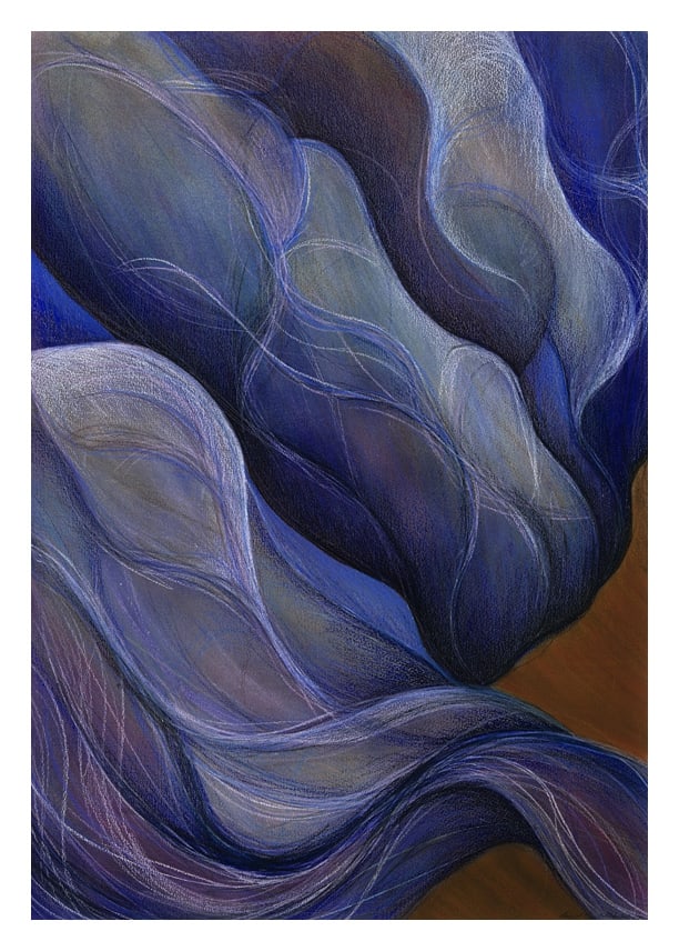 Blue Fig by Marcia J Popp