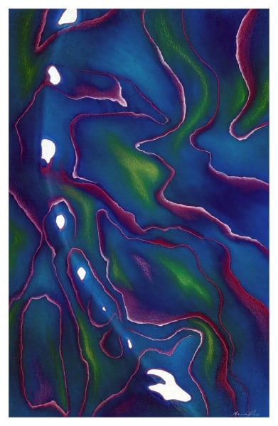 Paua 2 by Marcia J Popp