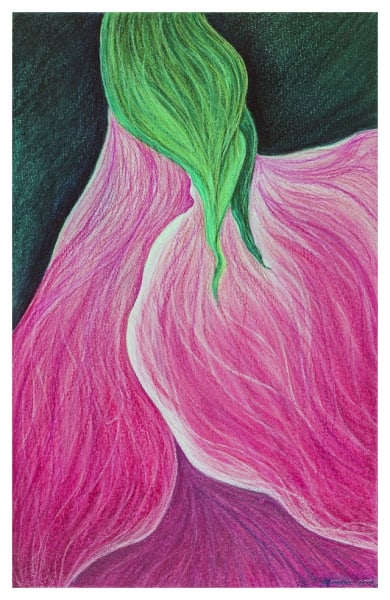 In the Pink by Marcia J Popp