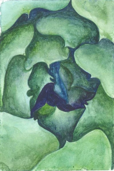 Agave Heart by Marcia J Popp