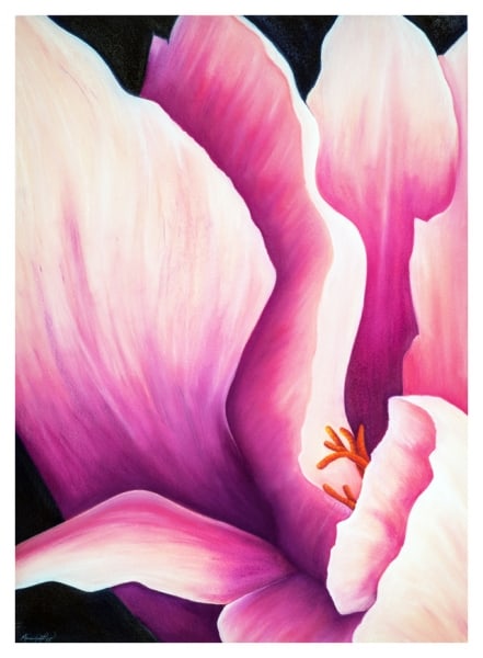 Blush by Marcia J Popp