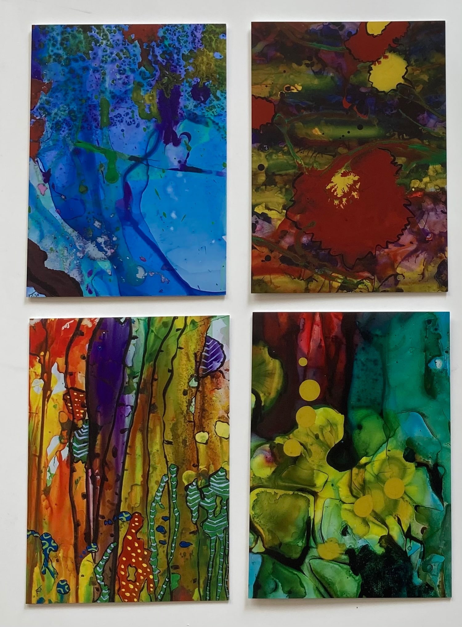 Boxed Greeting Cards - Set 6 by Rudite Jaunarajs