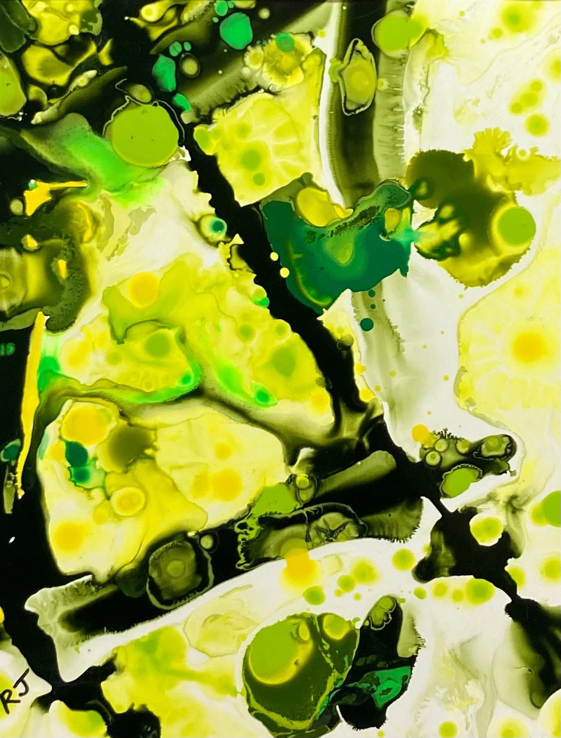 Hanging With Greens by Rudite Jaunarajs