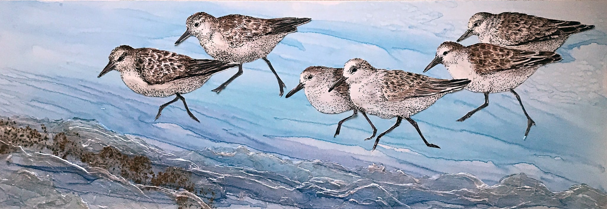 Evening Run by Rebecca McDannold