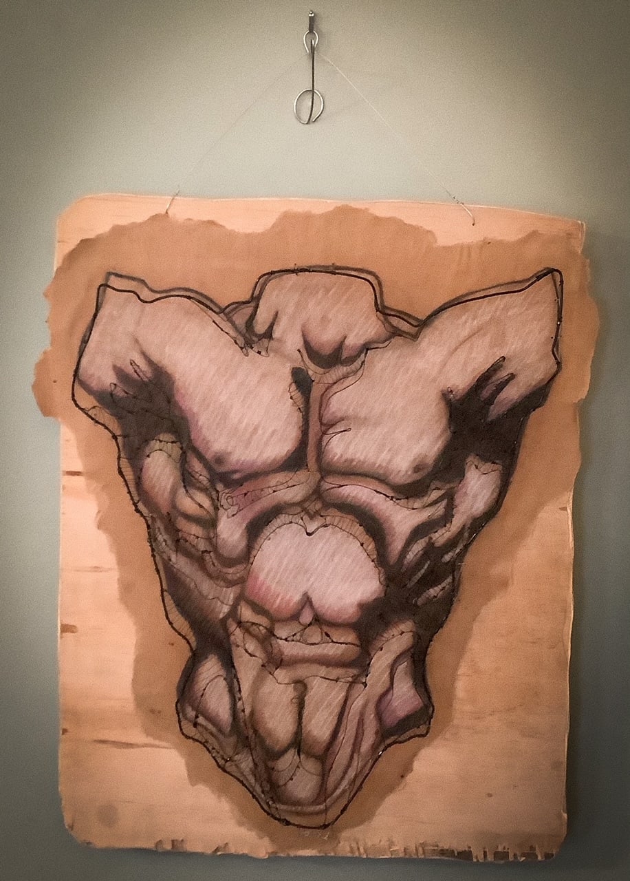 Male Torso - Front by Jim Parks