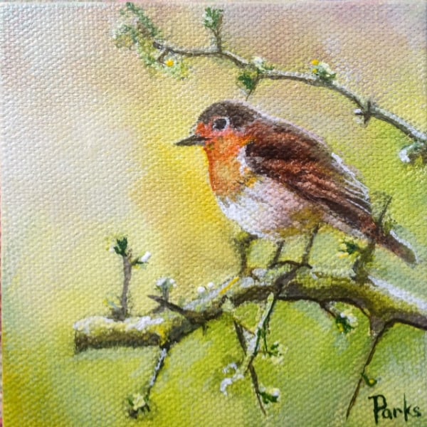 Bird #15 Red Breast by Jim Parks