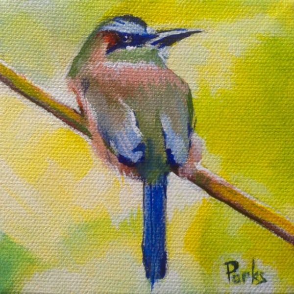 Bird #14, Blueboy by Jim Parks