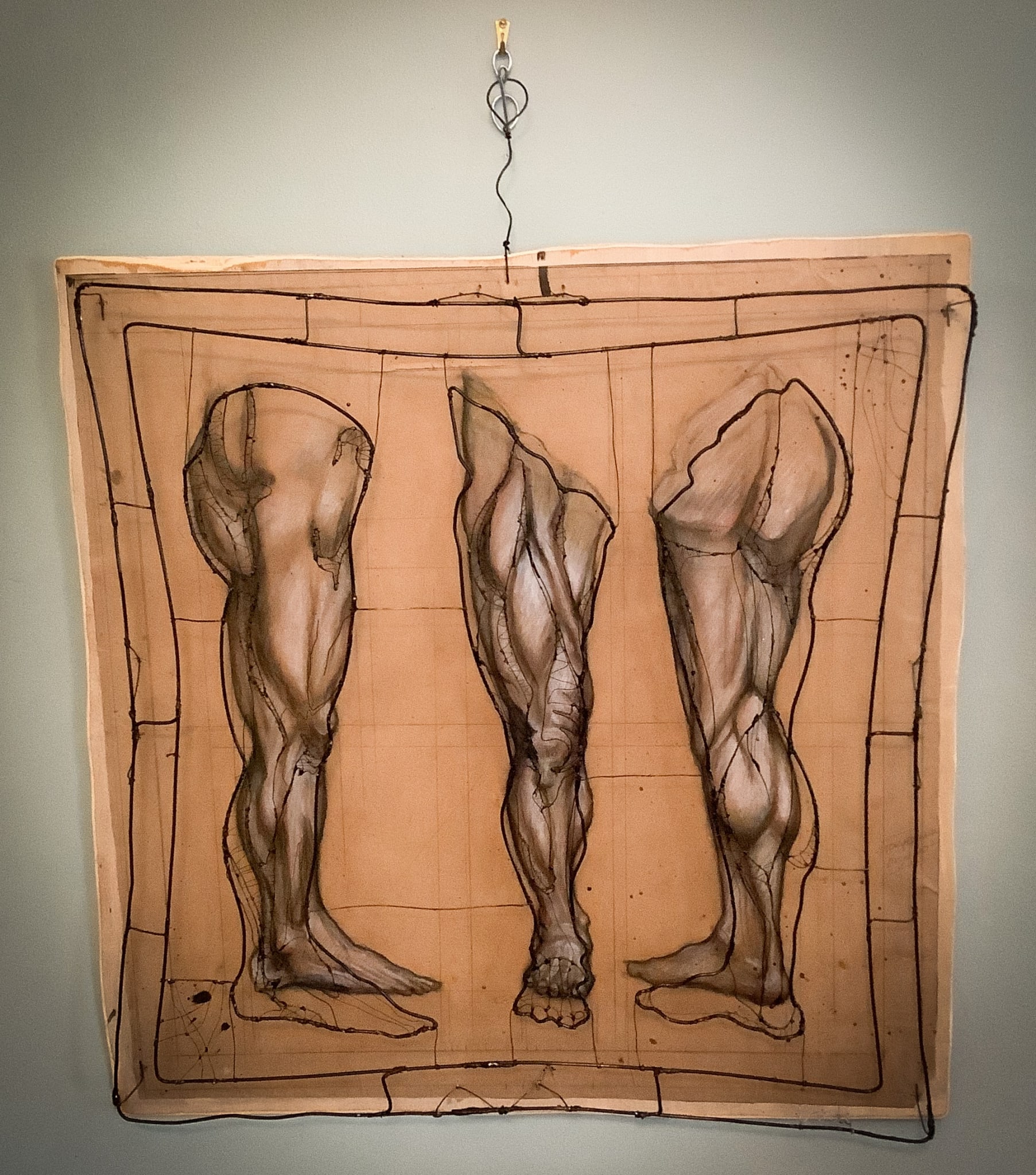 Leg Anatomy by Jim Parks