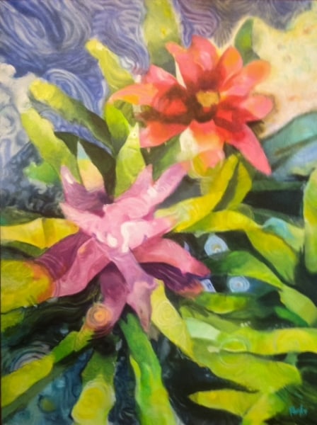Phil's Bromeliads by Jim Parks