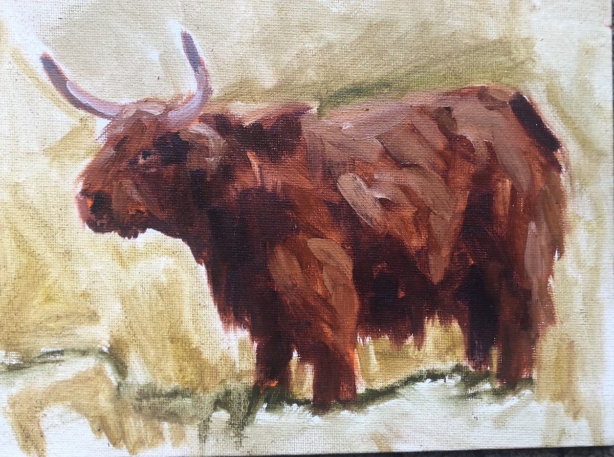 Highland Cow by Susan Bell