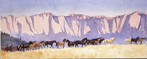 The Splendor of the Lord by Sandy Lynn Wisecup