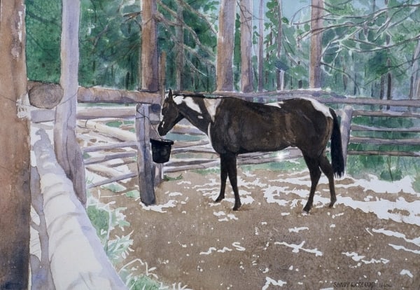 Breakfast on Spruce Mountain by Sandy Lynn Wisecup