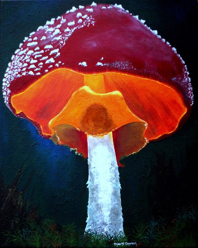 Forest Lumen by ROBERT CROOKER ART