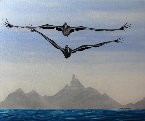 2 Pelicans by ROBERT CROOKER ART