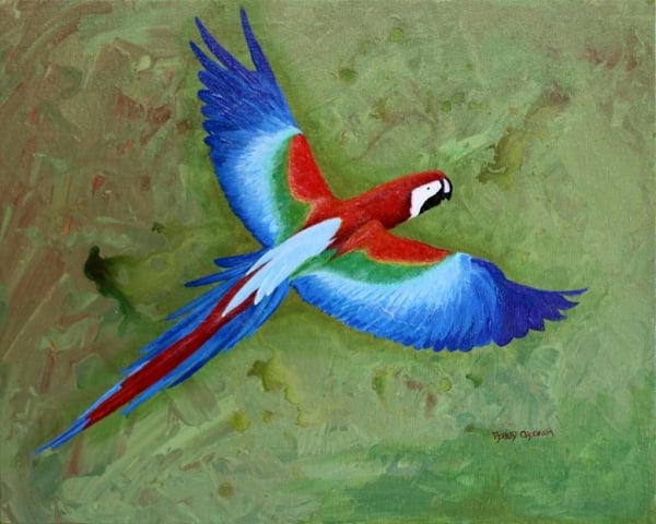 Skylighton by ROBERT CROOKER ART