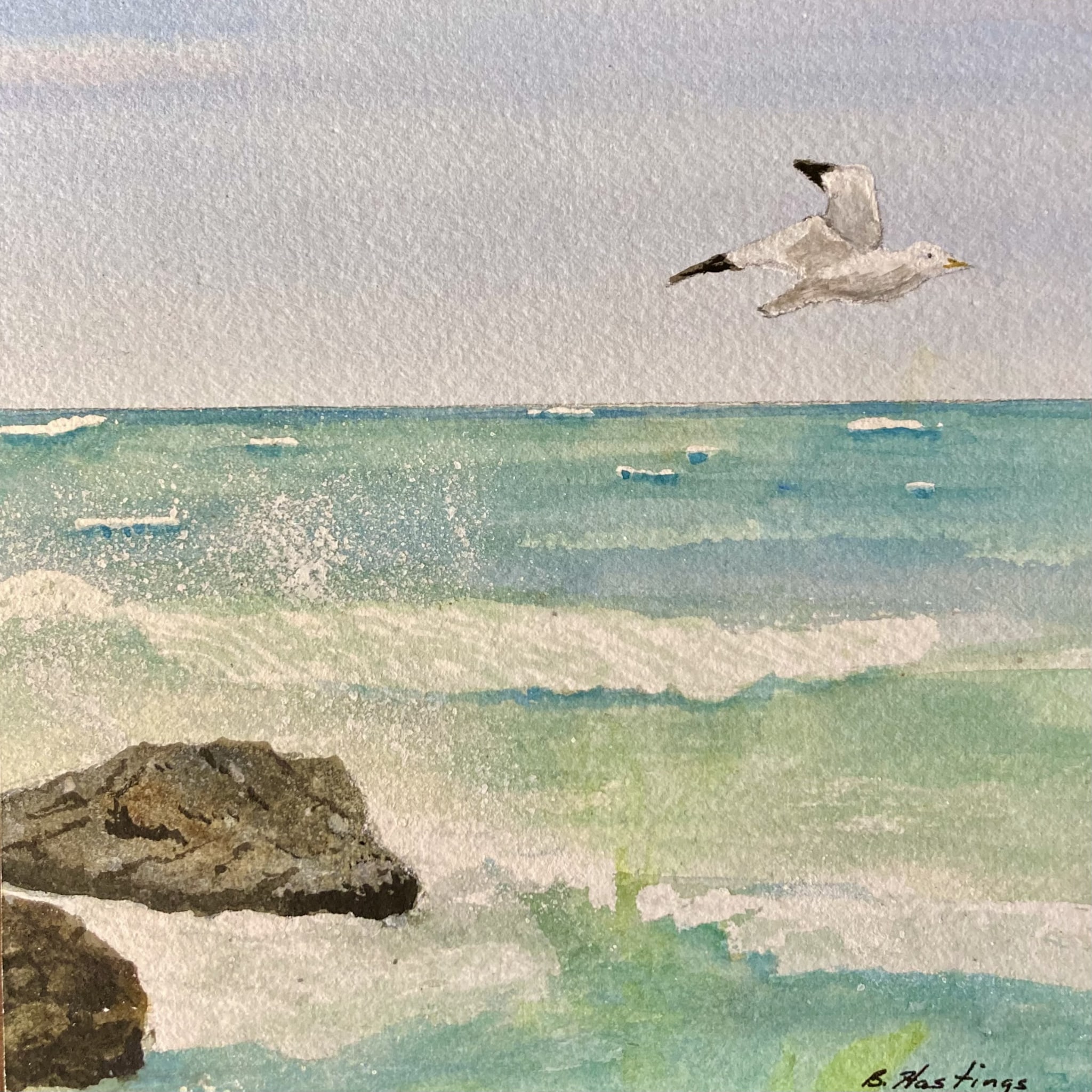 Fly Away Home by Bonnie Hastings