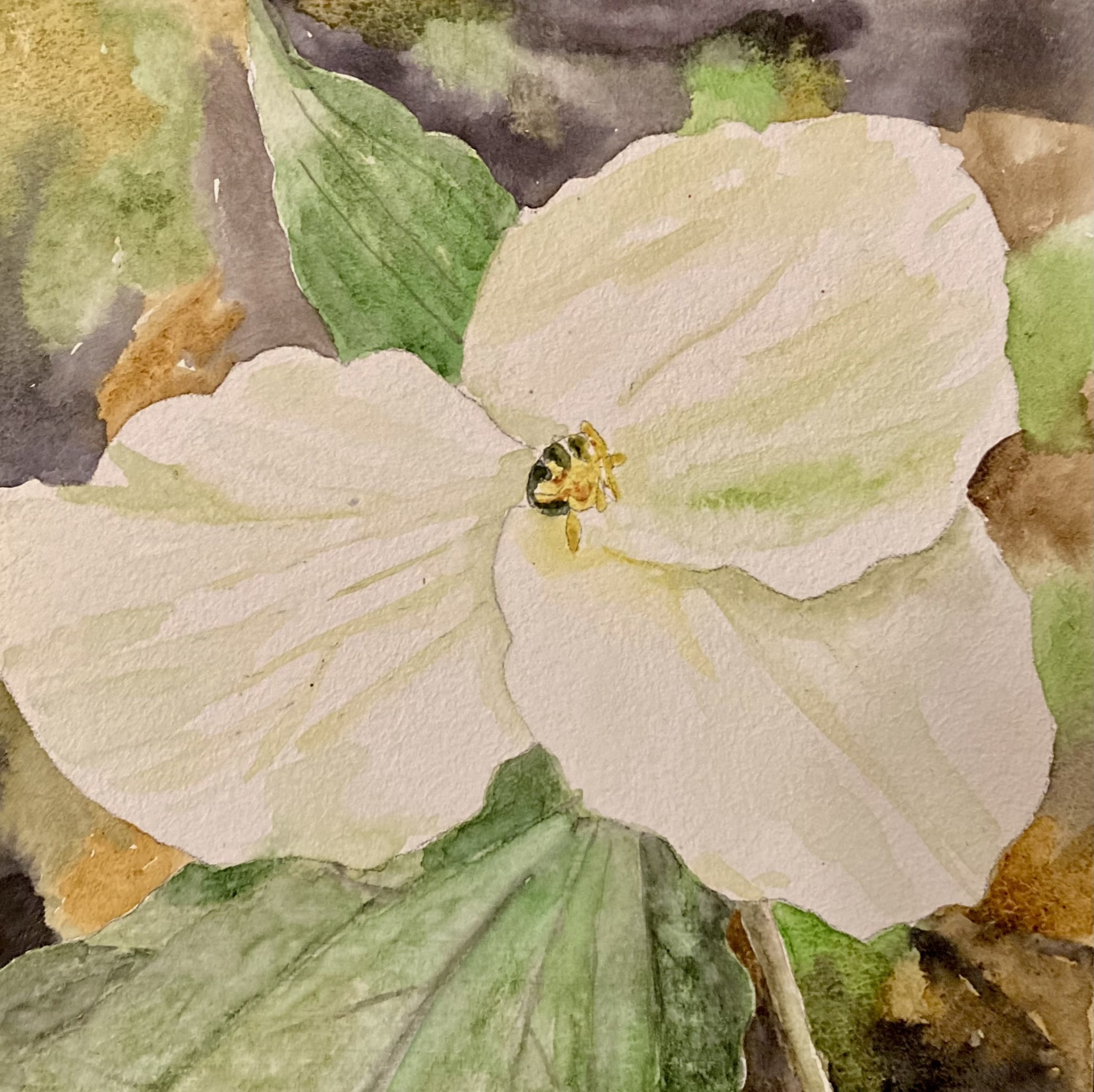 Wake-Robin by Bonnie Hastings