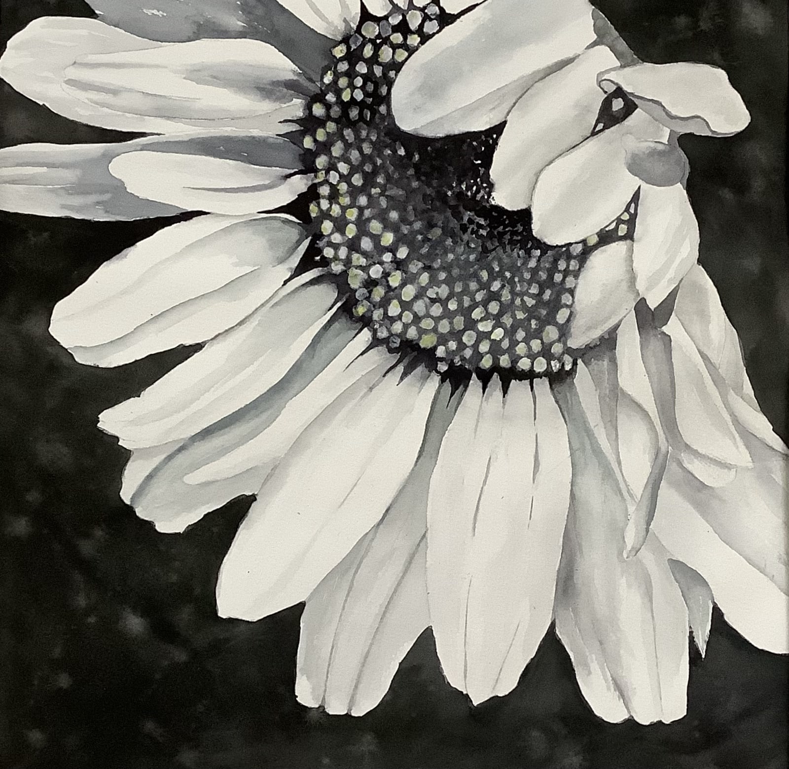 Demure by Bonnie Hastings
