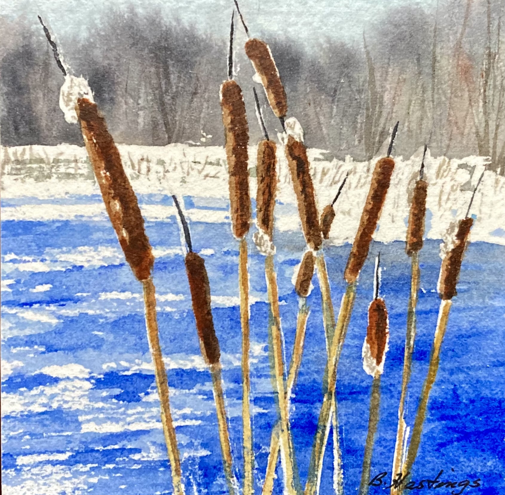 Bulrushes by Bonnie Hastings