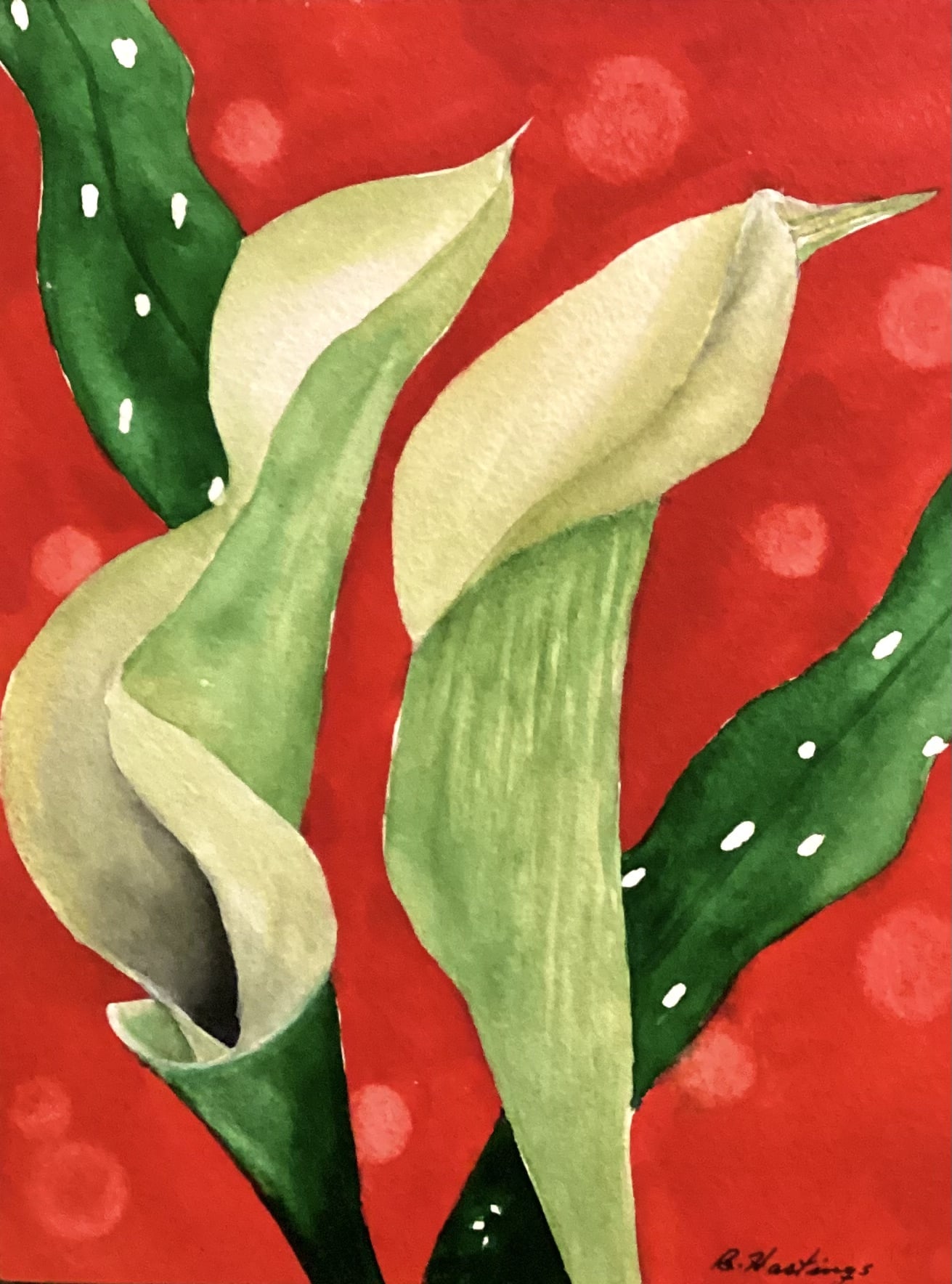 Calescent Callas by Bonnie Hastings