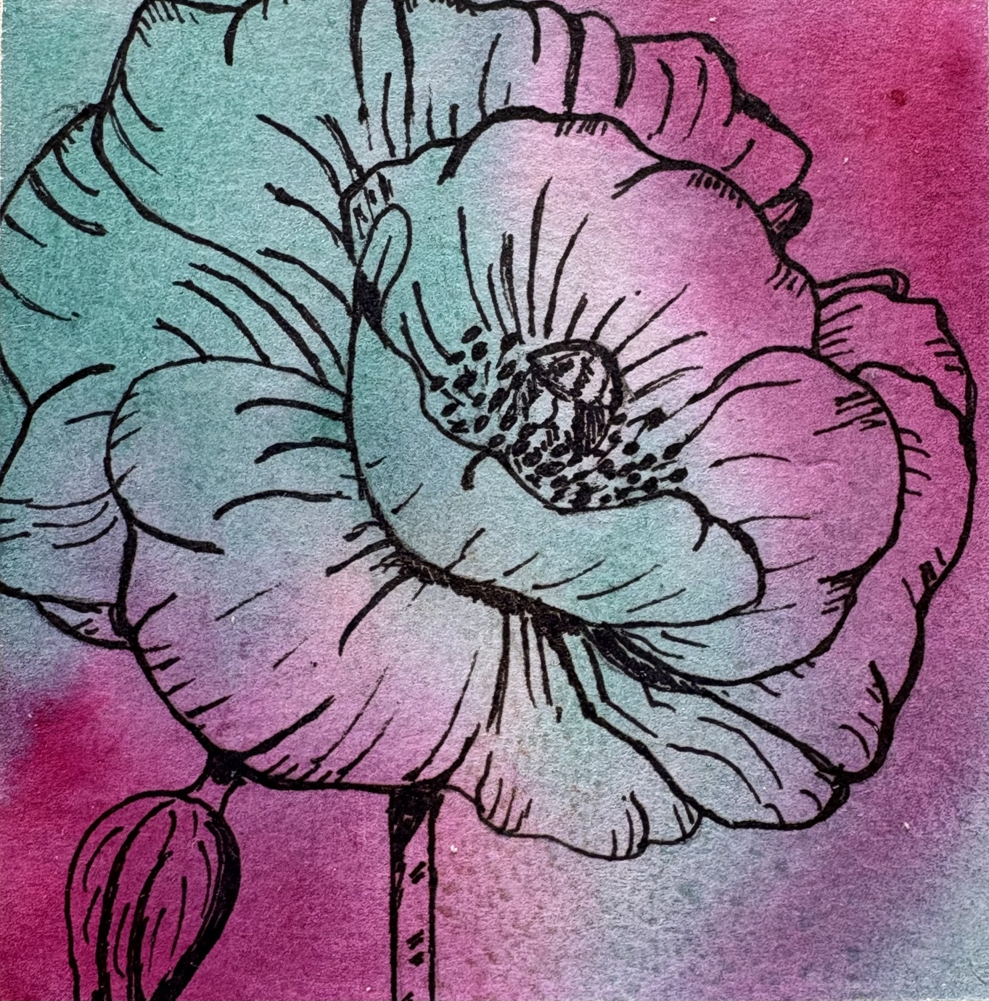 Floral #4 by Bonnie Hastings