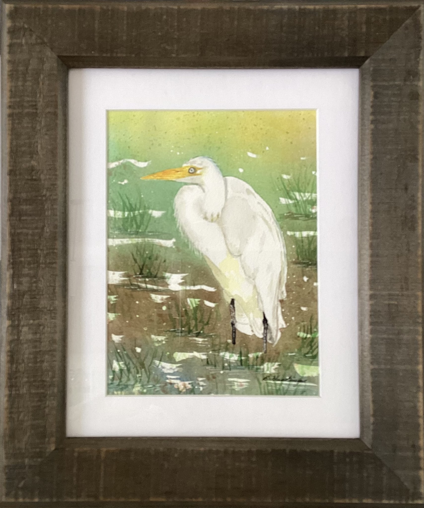 Great White Heron by Bonnie Hastings