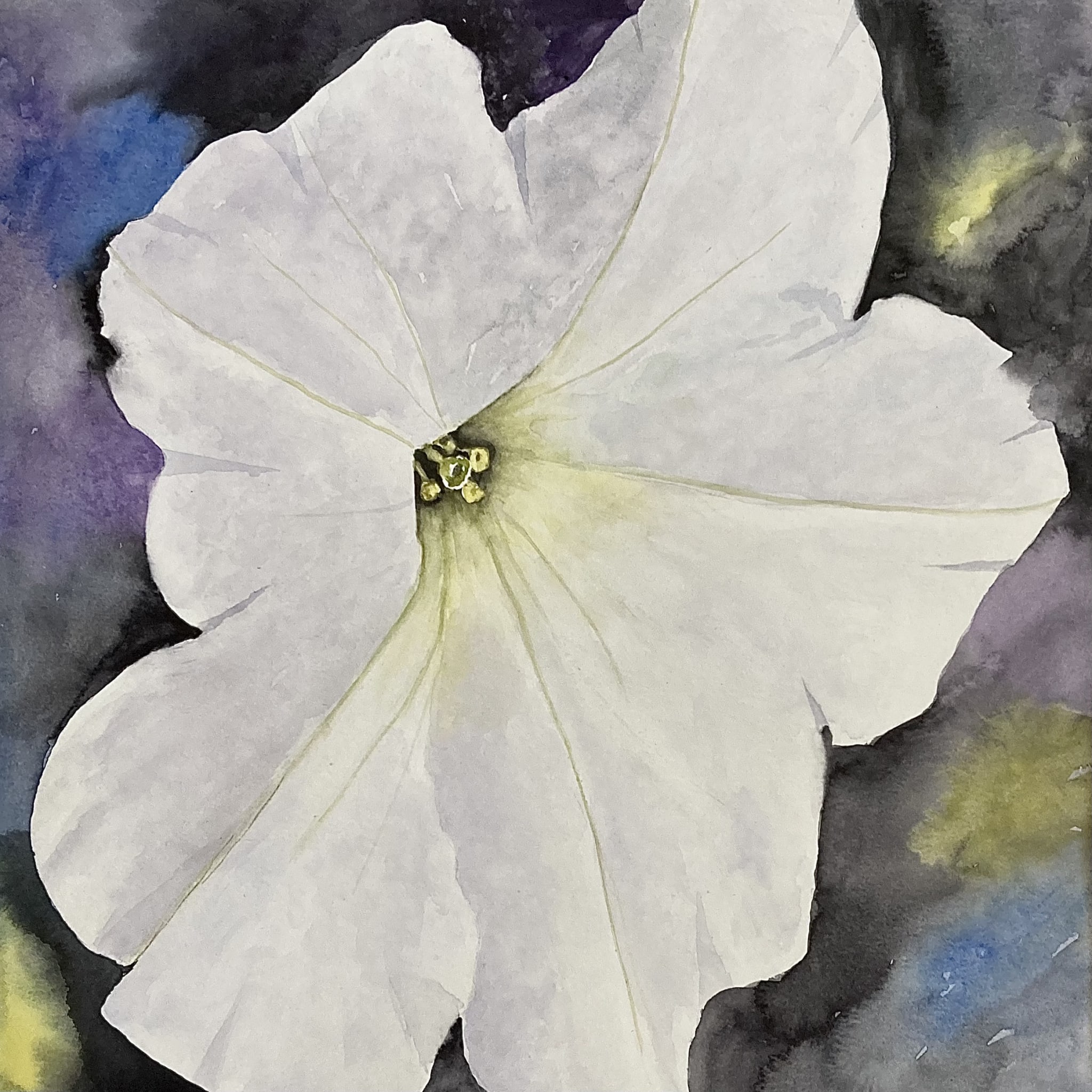 Cutie Petutie by Bonnie Hastings