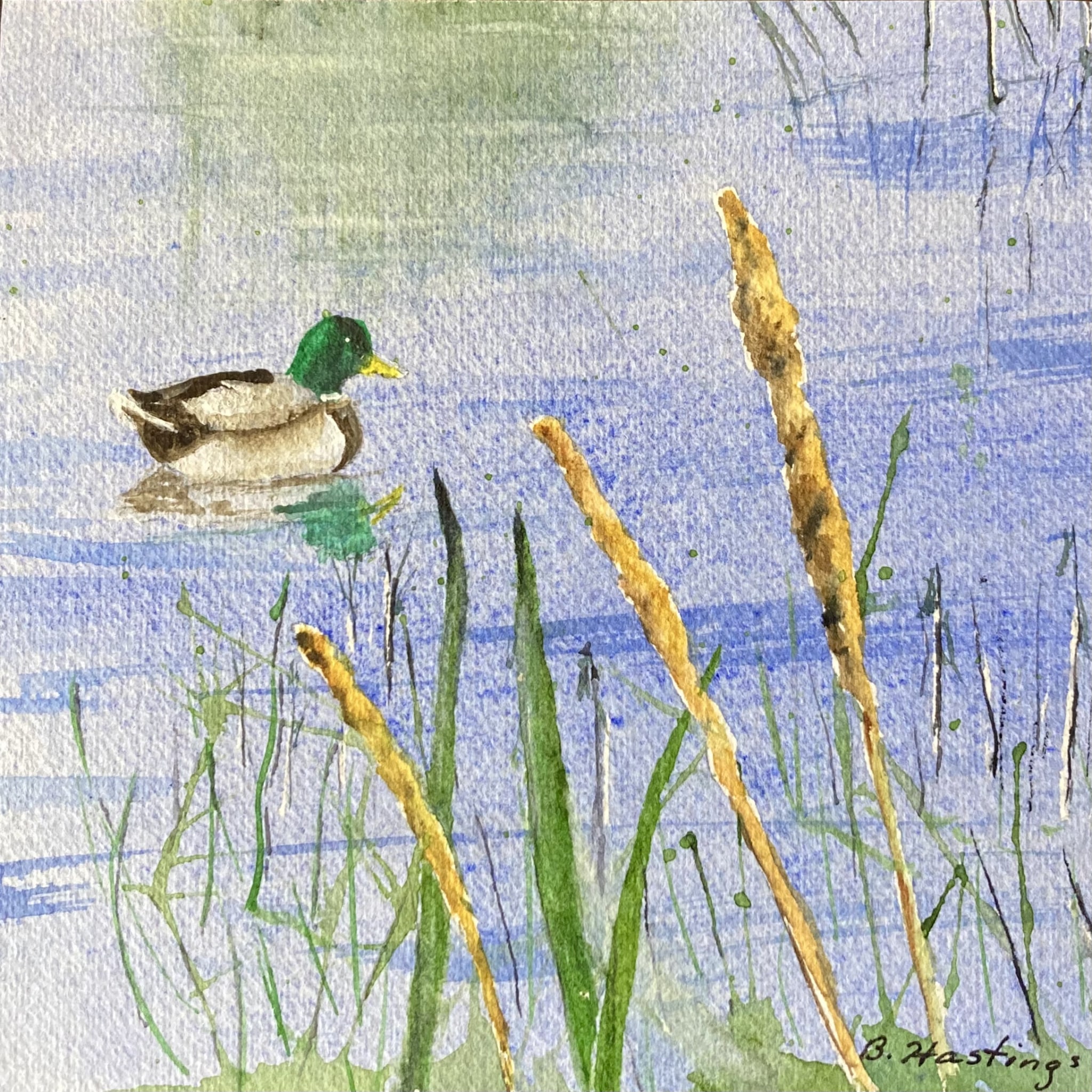 Ducky by Bonnie Hastings