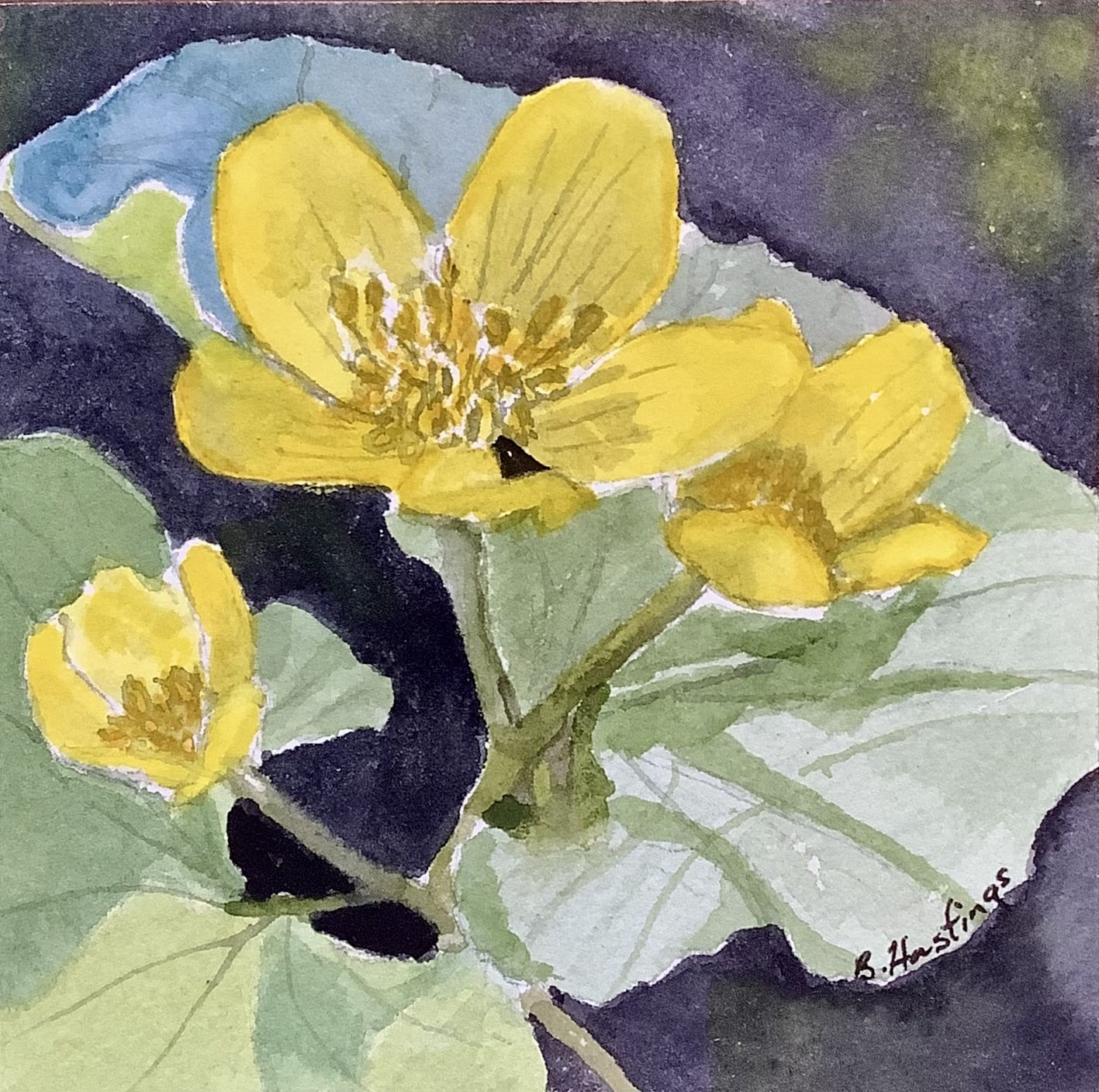 Marigolds by Bonnie Hastings