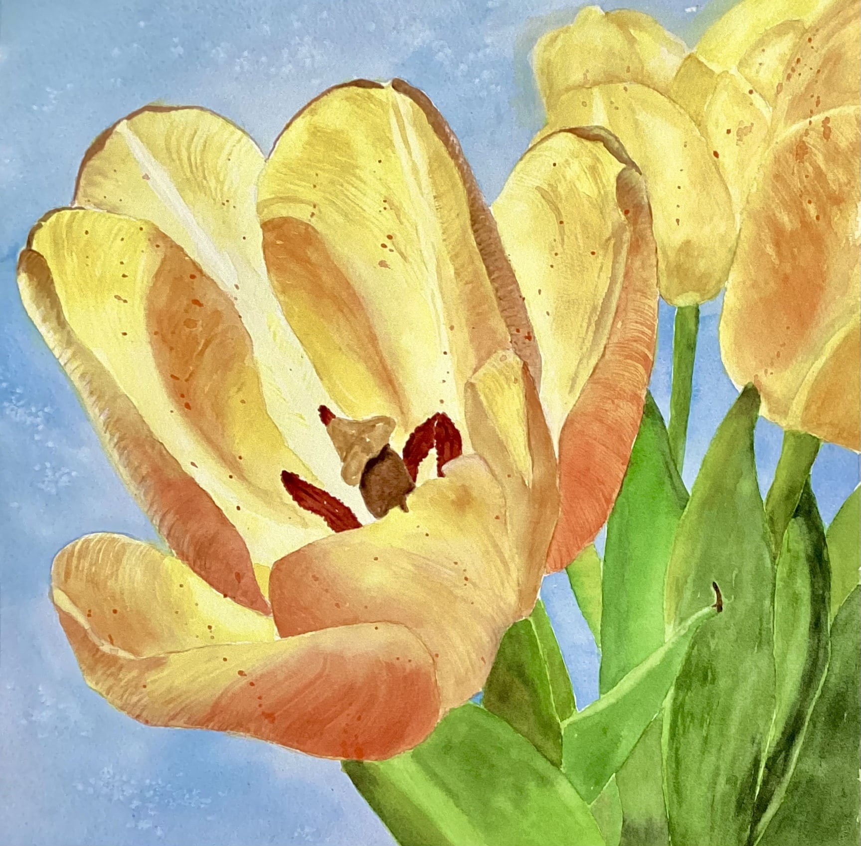 Spring Study by Bonnie Hastings