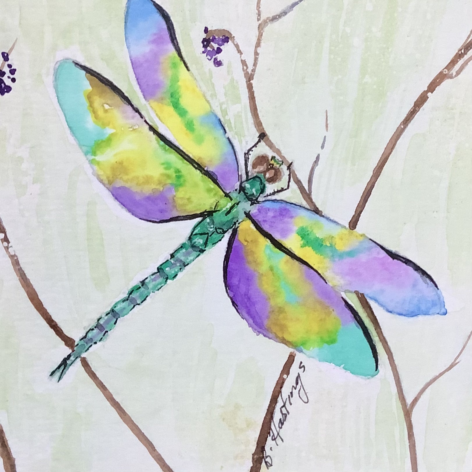 Dragonfly by Bonnie Hastings