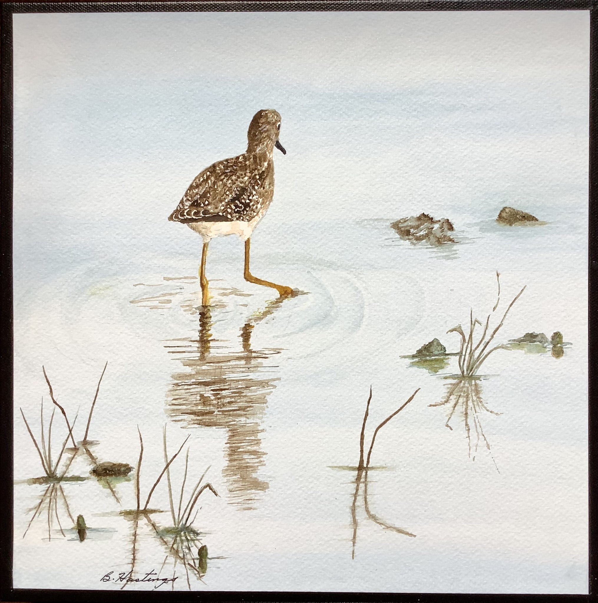 Looking For dinner #2 by Bonnie Hastings