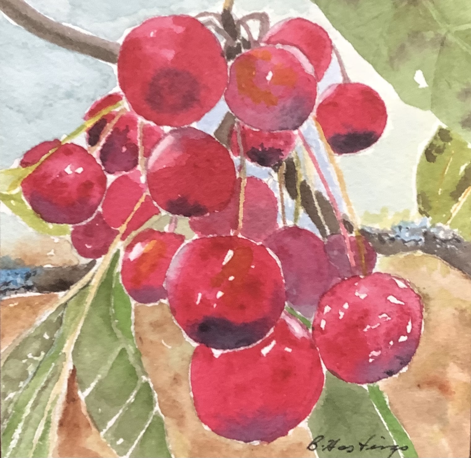 CRAB APPLES by Bonnie Hastings